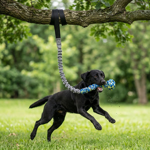 Outdoor Bungee Tug Toy, Dog Toy Hanging from Tree for Small to Large Dogs, Interactive Exercise Play Cord & Tether with Chew Rop