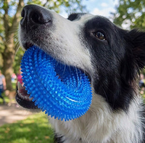 Dog Chew Toy Durable Squeaky Thorn Ring Interactive Sound Training Natural TPR Rubber Teeth Cleaning Grinding Non Toxic Puppy