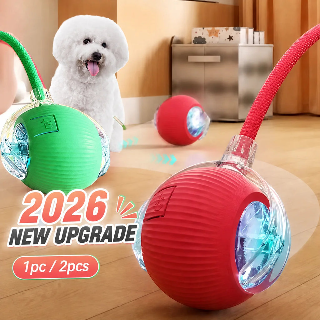 New Dog Interactive Ball Toy,Automatic Rolling Dog Ball Rechargeable,Smart Puppy Interactive Toy,Intelligent Balls Toy for Dogs