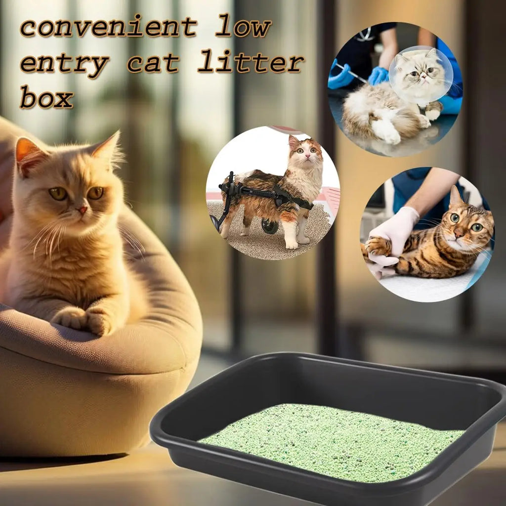 Premium Litter Box, Oversized Pet Litter Box, Low Entry Open Litter Box, Suitable for Weak, Elderly Kittens, Easy to Clean