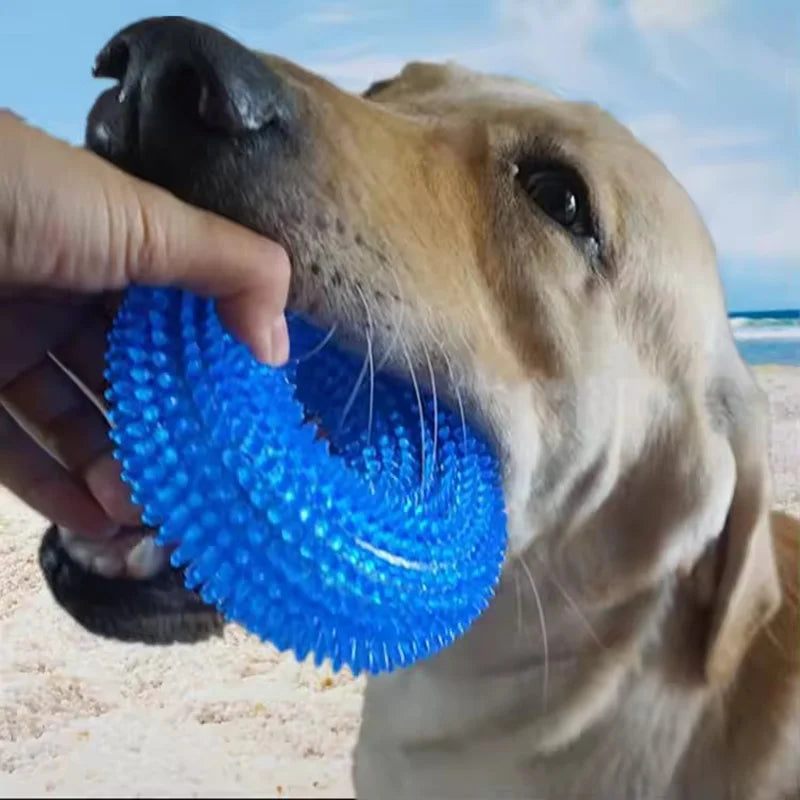 Dog Chew Toy Durable Squeaky Thorn Ring Interactive Sound Training Natural TPR Rubber Teeth Cleaning Grinding Non Toxic Puppy