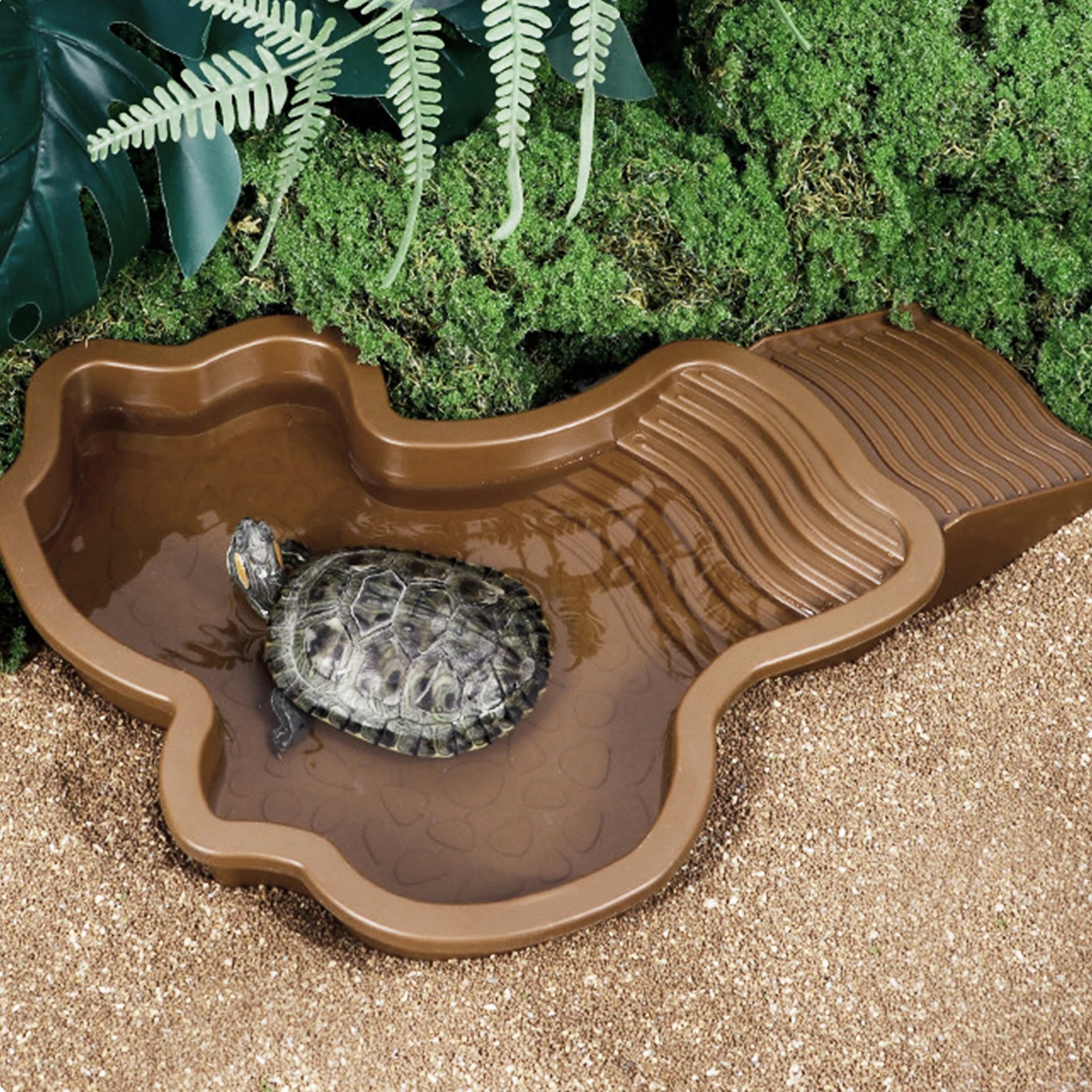 Reptile Bathing Pool & Water Bowl for Turtles & Tortoises
