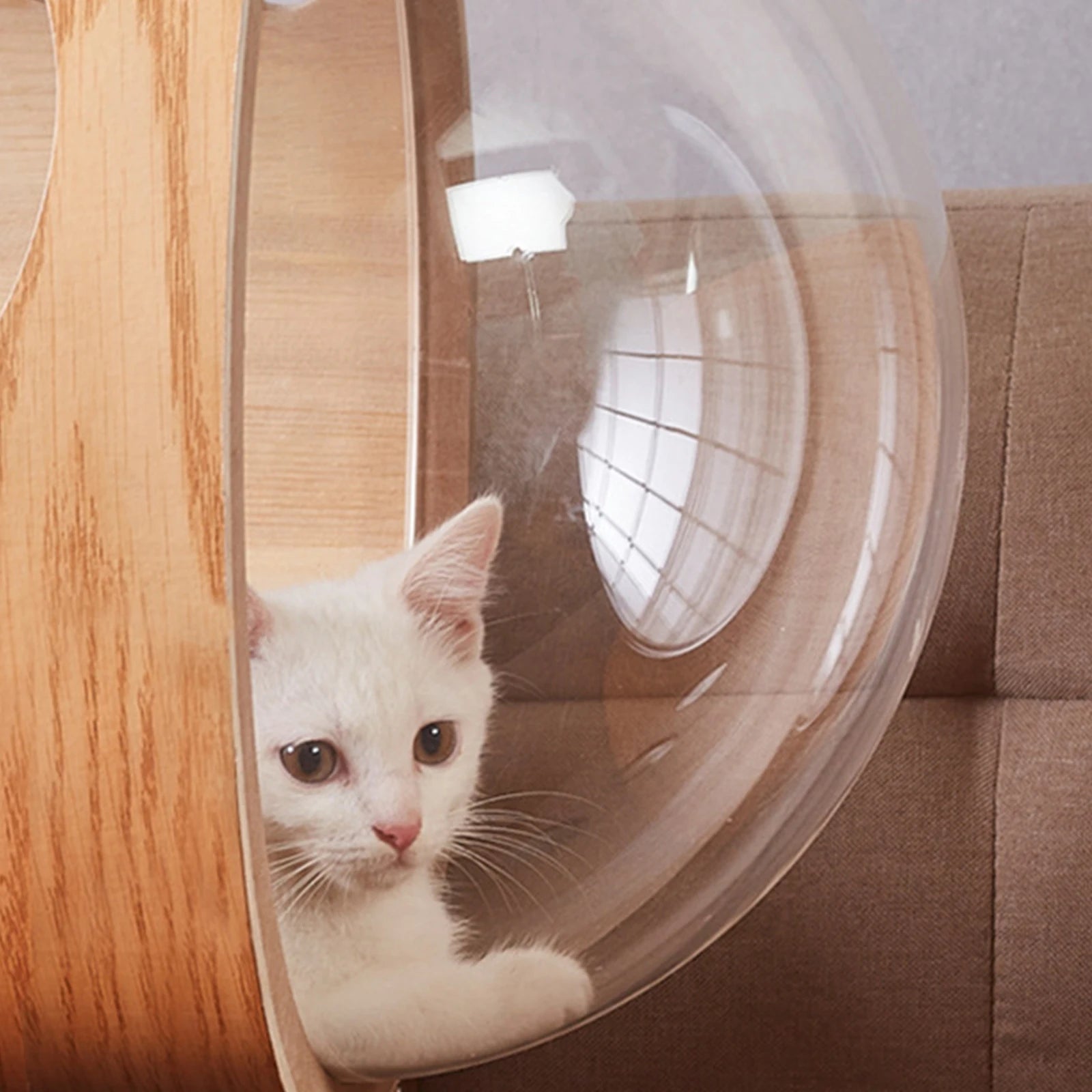 Space Clear Capsule Bed Indoor Dome Cover for Window Perch Cat DIY Replacement Cat Bed Bedding Furniture Holder Portable