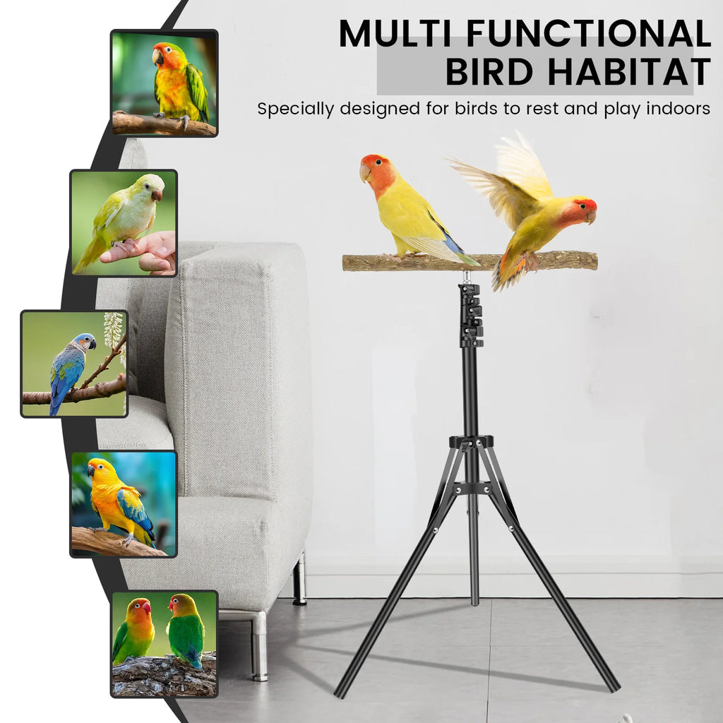 Wood Bird Training Perch Stand Height Adjustable Bird Perch Toys Indoor Outdoor Versatile Bird Parrot Play Training Station Pole