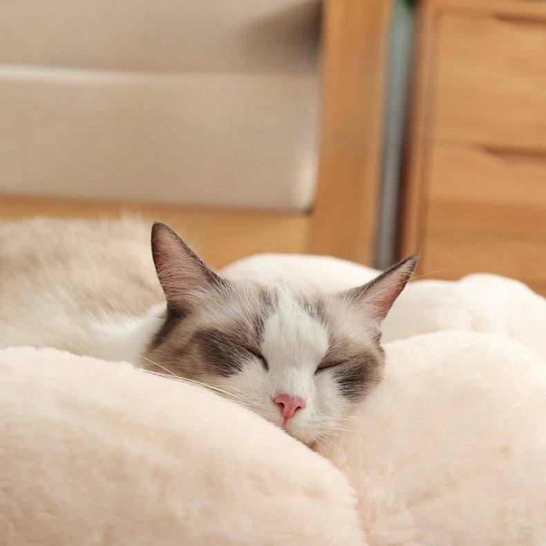 All - Season Plush Cat Bed with Neck Guard, Flower - Shaped Round Pet Bed for Cats & Small Dogs Cat Beds Pets