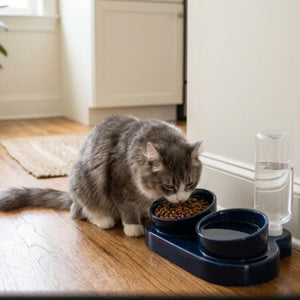 3-in-1 Tilted Cat Bowl Set with Gravity Water Feeder