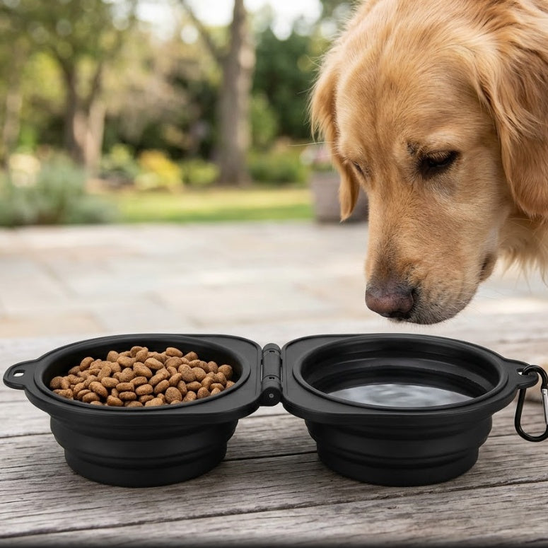 2-in-1 collapsible dog travel bowl with food and water outdoors, golden retriever nearby
