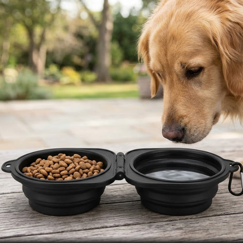 2-in-1 collapsible dog travel bowl with food and water outdoors, golden retriever nearby