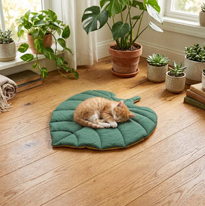 Ginkgo leaf shaped pet mat lifestyle photo