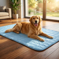 Dog cooling mat lifestyle photo
