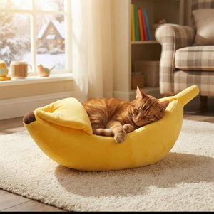 Winter banana cat bed lifestyle photo