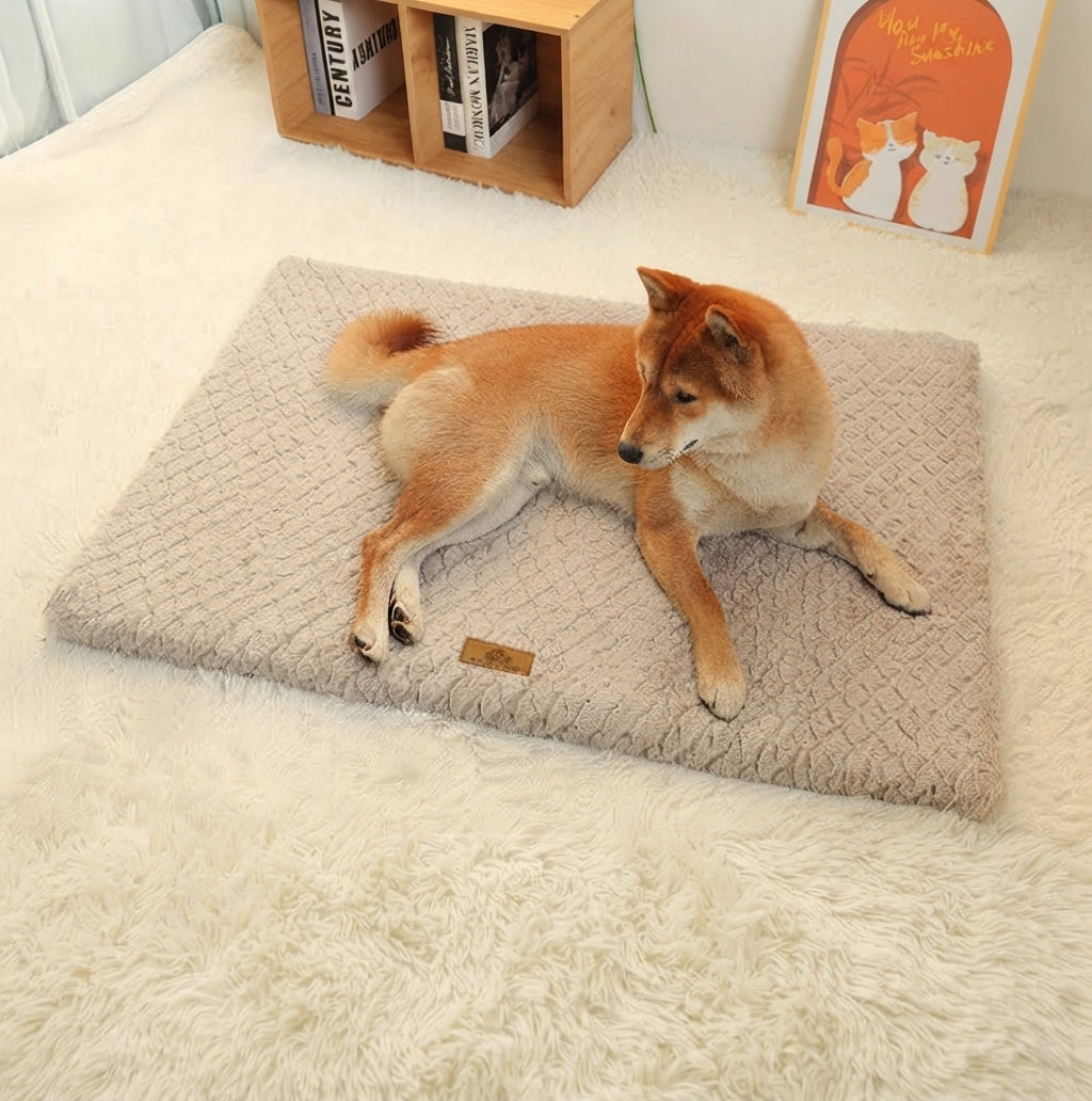 3D foam pet bed lifestyle photo