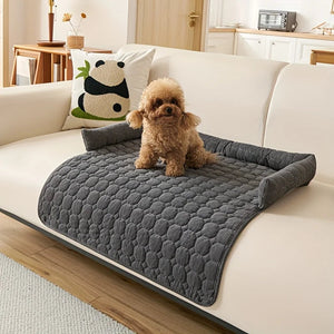 Dog cooling mat lifestyle photo
