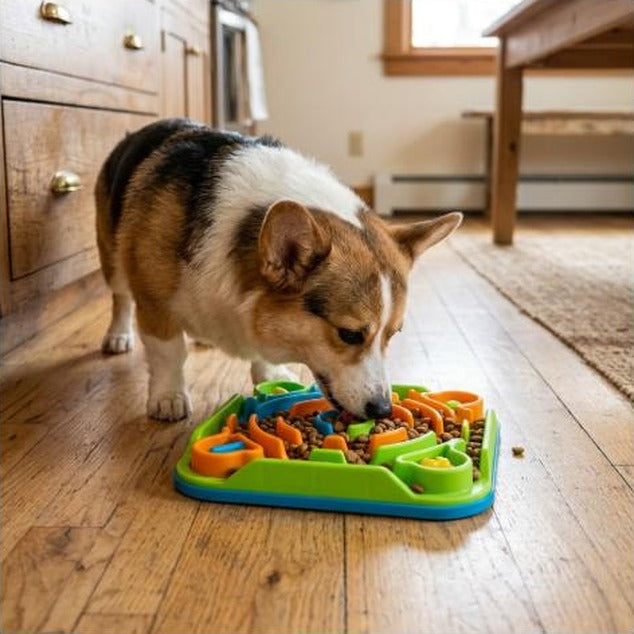 Dog Puzzle Toys Dog Training Boredom Interactive Puzzle Feeding Toys Slow Food Tray Pet Feeding Supplies