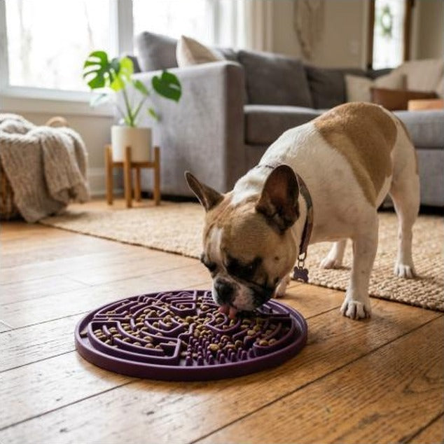 Dog Puzzle Toys Dog Training Boredom Interactive Puzzle Feeding Toys Slow Food Tray Pet Feeding Supplies