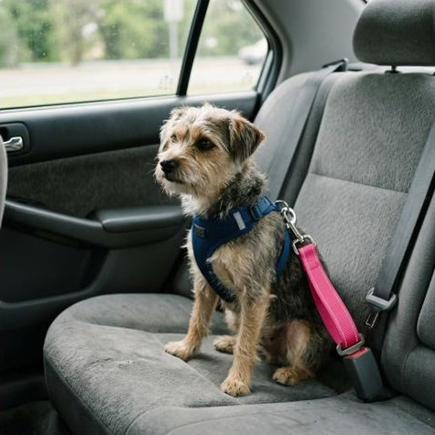 Adjustable Pet Dog Car Seat Belt Leash Heavy Duty Durable Nylon Pet Safety Harness Universal for Vehicle  Heavy Duty Sturdy
