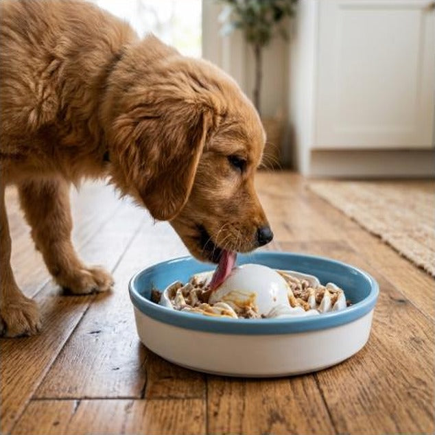 Dog/cat licking bowl, pet licking toy slow food bowl, non-slip licking bowl, educational toy, makes dogs/cats love licking.