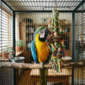 Bird Chewing Toy Funny Cotton Rope Pinecone Parrot Toys Bite Resistant Bird Tearing Toy Cockatiels Training Cage Toys For Pets