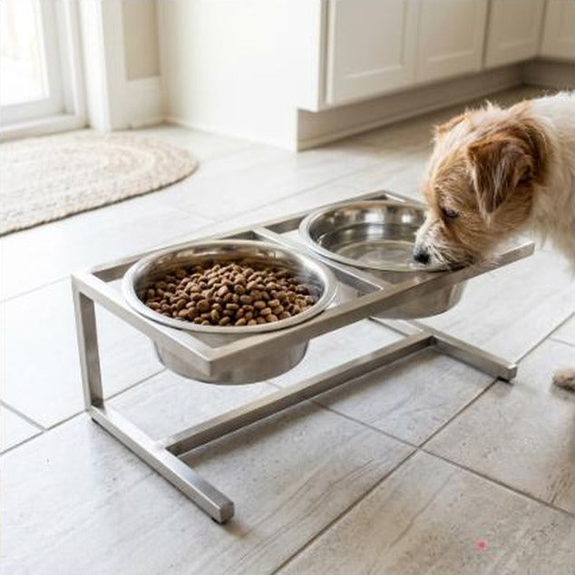 Elevated Dog Cat Bowl Stainless steel Food Water Bowls Raised No Spill Pet Feeder bowl for Puppy Small Medium Large Dogs Cats