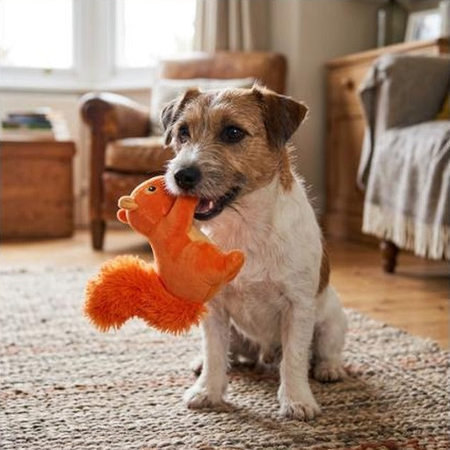 Funny Dog Toy with Interactive Squeaky Sound and Plush Cotton Filled Softness for Small, Medium, and Large Puppies and Dogs