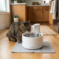 Automatic Cat Water Fountain 3L Intelligent Pet Water Dispenser With Filter Drinking Fountain For Cat Dog