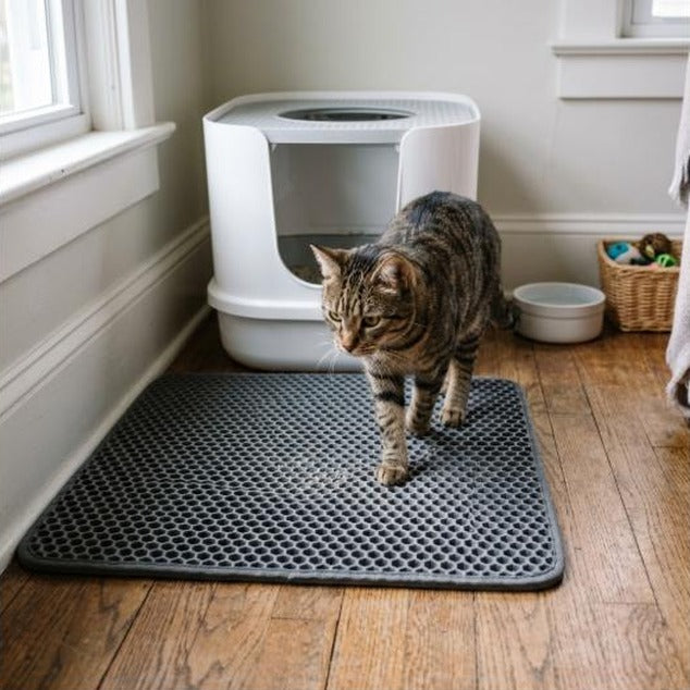 Cat Litter Box Mat 41x28x2cm Spacious Plastic Double Layer Washable Cat Litter Catcher Mat with Anti Slip Bottom Pet Supplies