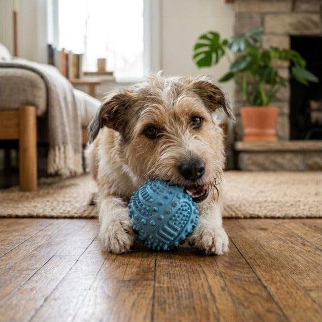 Durable Silicone Dog Chew Ball - Interactive Pet Toy for Medium Breeds, Teeth Cleaning & Playtime Fun, Dog Toys